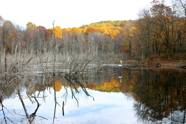 Morraine Pond