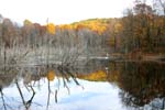 Pond at Morraine