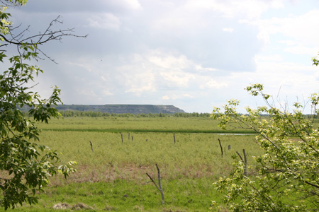 Cut Bluff